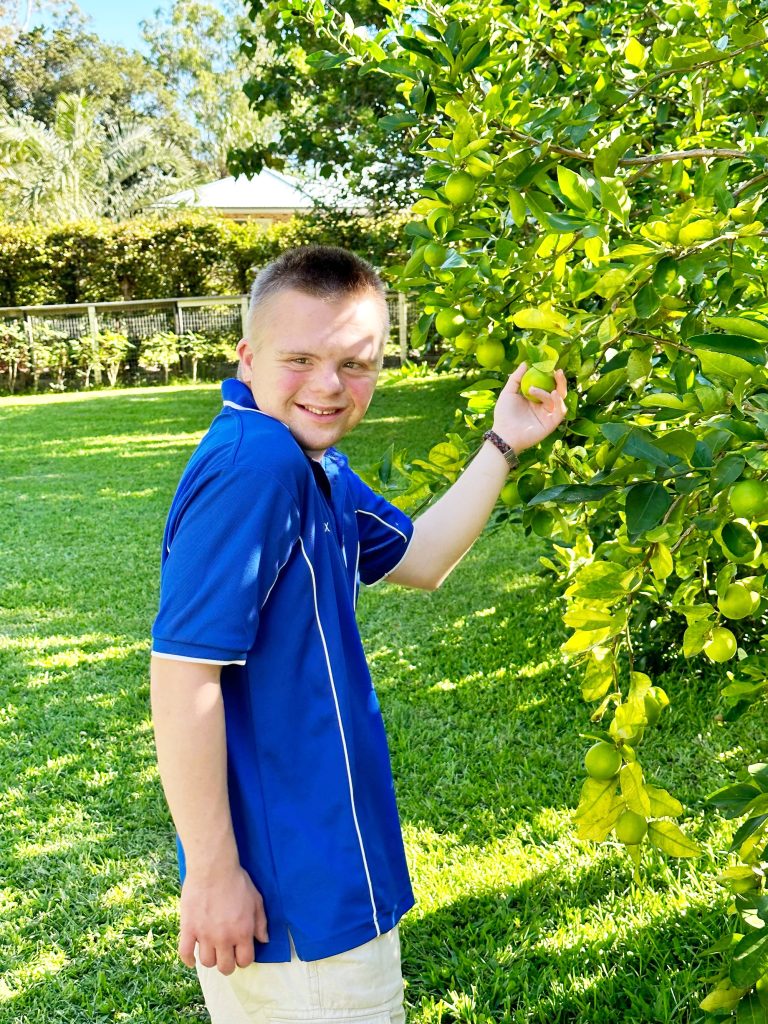 Glenview location NDIS participant picking limes from tree. NDIS capacity building and social activities.